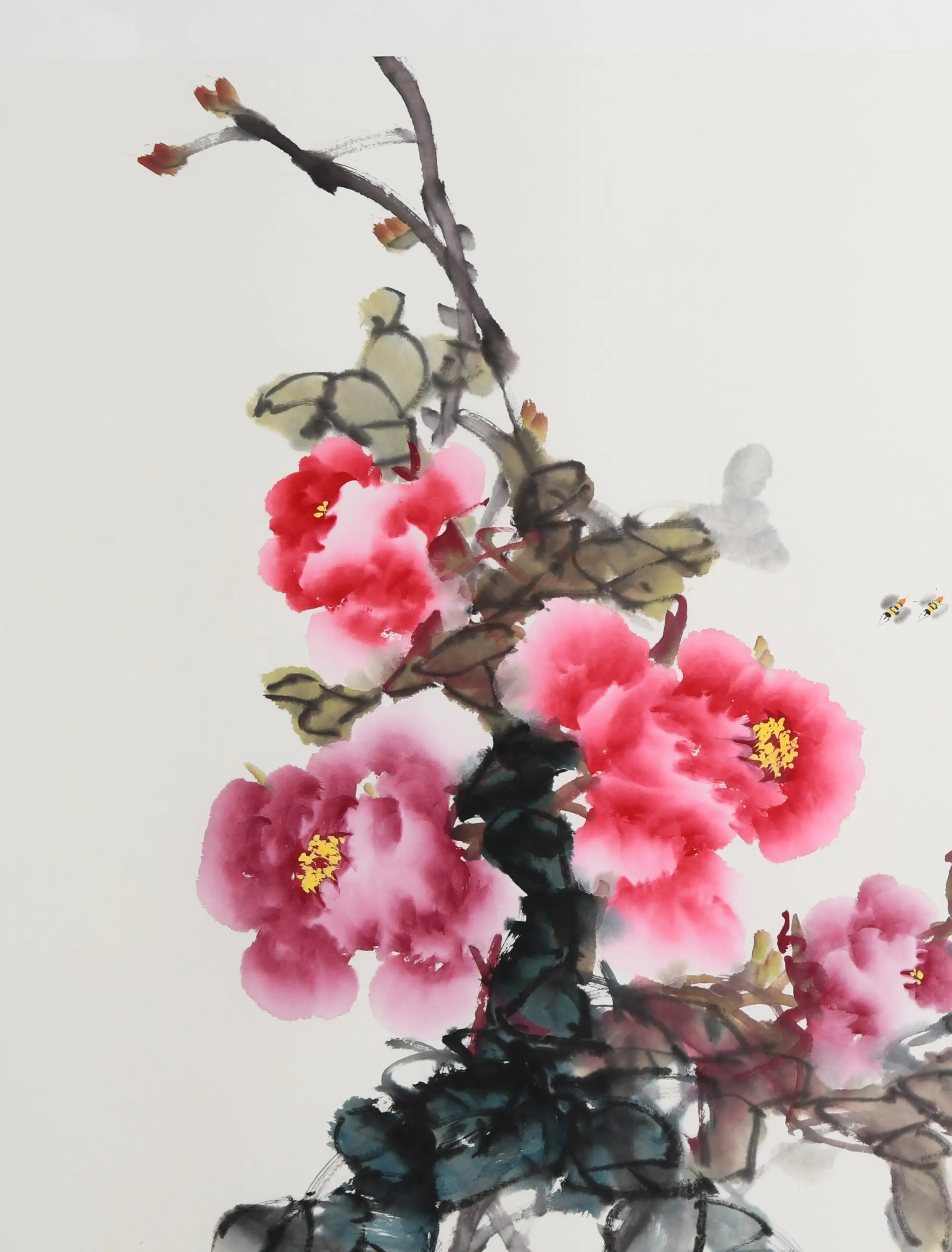 bannerImg